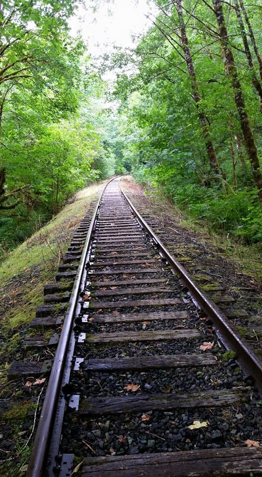 The tracks start out fairly well maintained, fading off into a sea of green. (Photo by Erica Trapold)