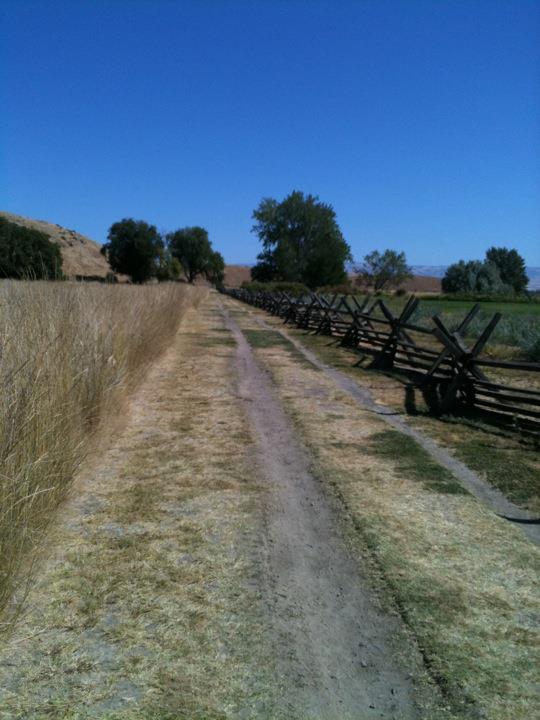 The Oregon Trail. I did not die of dysentery. 