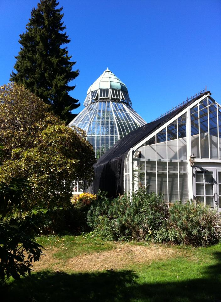 The Seymour Conservatory in Wright Park is filled with hundreds of plants from around the world.
